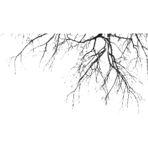 Tree Brushes